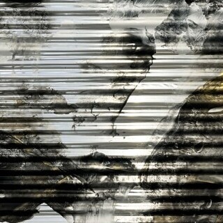 Night Shadow